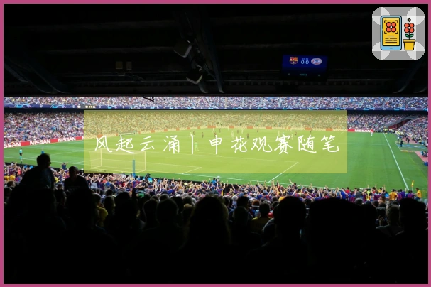 风起云涌丨申花观赛随笔