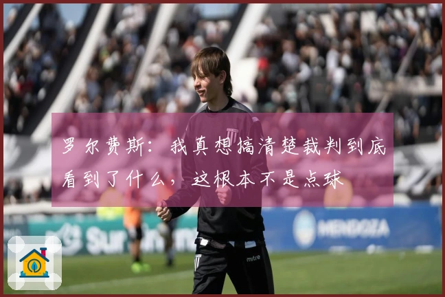 罗尔费斯：我真想搞清楚裁判到底看到了什么，这根本不是点球