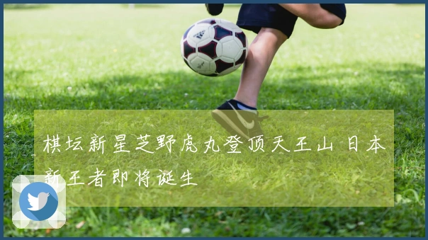 棋坛新星芝野虎丸登顶天王山 日本新王者即将诞生