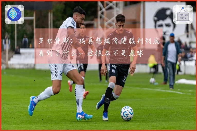 罗尔费斯：我真想搞清楚裁判到底看到了什么，这根本不是点球